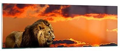 Panorama Bilder auf Glas Löwe Sonne Landschaft Glasbild 90x30cm Wandbilder Dekoration Wohnzimmer Schlafzimmer Küche Klein Wanddeko Bild im Glas Wand Kunstdruck Art Modern Wall Decor GAB90x30-0230