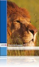 LANDRÉ 100420019 Zeichnungsmappen-BastelsetFuáball, DIN A3