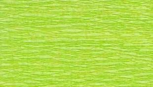 Idena 617153 - Krepppapier 1 Rolle 50 x 250 cm, weiß - grün