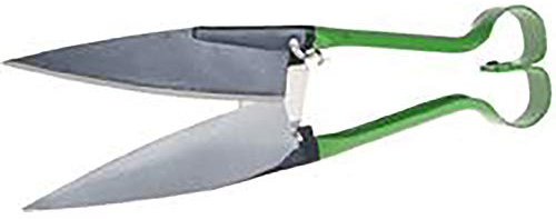 Freund-Victoria 1090511 Cisaille à Mouton/Couper ES buis, Argent/Vert