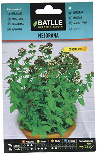 Batlle Kräutersamen - Majoran (Samen - 40cm)