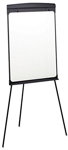 Quartet Standard Magnetic Dry-Erase Easel, Dual-Purpose Writing Board/Flipchart (67E)