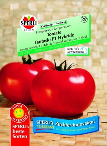 Tomate Fantasio F1 Hybride