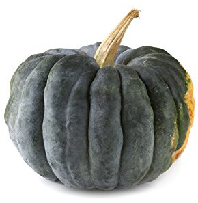 Seedeo® Kürbis Futsu Black (Cucurbita moschata) 10 Samen BIO