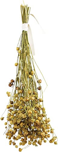 JR FARM Leinsaat Flachs 30 g