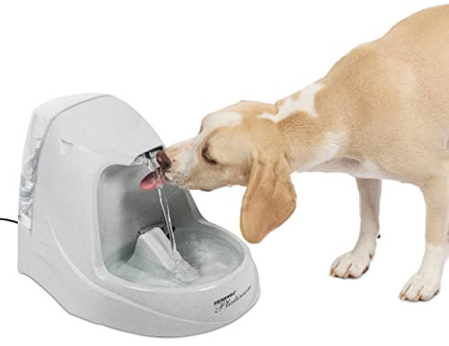PetSafe Platinum - Fuente para Perros y Gatos, Cascada de Agua Filtrada, Retiene Olores y Bacterias, 5 litros, Drinkwell