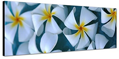 Augenblicke Wandbilder Keilrahmenbild Wandbild 150x50cm Blumen Blüten exotisch Wasser