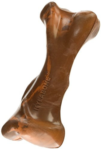 Nylabone Strong Tough Durable Rubber Dog Chew Toy Bone, Beef and Gravy Flavour, Small, for dogs up to 11 kg