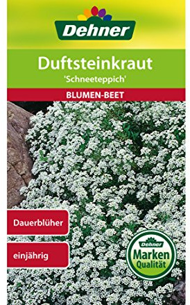 Dehner Blomfrön, doftstensört, snömatta, 5-pack (5 x 0,7 g)