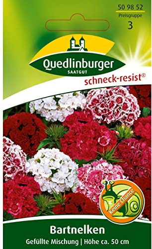 Bartnelke, Gefüllte Mischung