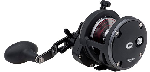 PENN Warfare Star Drag Conventional Nearshore/Offshore Fishing Reel, HT-100 Star Drag, Max of 15lb | 6.8kg, Made with Corrosion-Resistant Graphite Frame