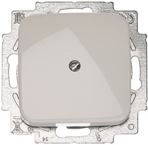 Busch-Jaeger 2538-214, Placca centrale cieca