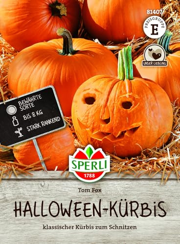 Sperli Halloween-Kürbissamen Tom Fox 81407, Gemüsesaat | Orange, zum Schnitzen & als Kürbislaterne, Kürbis zum Schnitzen, Gemüsesamen mit hoher Keimrate