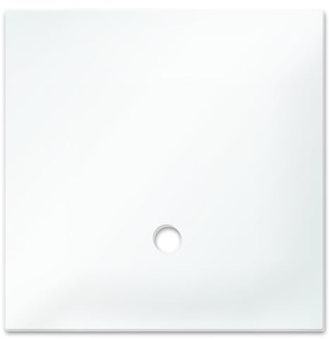 Dennerle Abdeckscheibe Nano Cube, 60 L, Glas, Terrarium