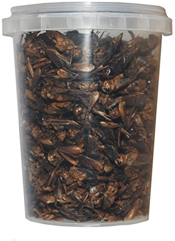 500 ml Grillen gefriergetrocknete/getrocknet | Reptilienfutter, Schildkrötenfutter, Futtertiere Igelfutter Vogelfutter
