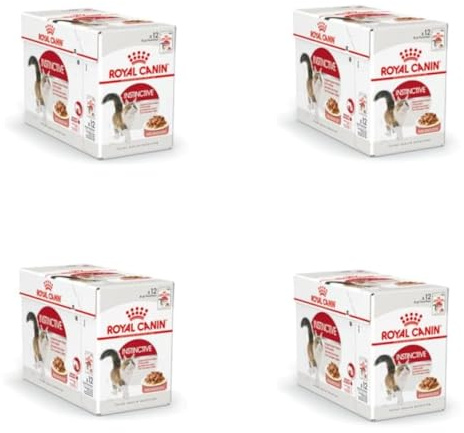 Royal Canin Instinctive Jelly | 4er Pack | 4 x 12 x 85 g | Nassfutter in Gelee für ausgewachsene Katzen | Zur Unterstützung der Harnwege und des Gewichts | Ausgewogene Rezeptur