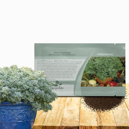 Outsidepride Wormwood Seeds - 10000 Pcs. Perennial, Easy to Grow & Drought Tolerant, Herb Seeds for Planting Aromatic, Delicate Gray-Green Foliage, Great for Landscaping & Xeriscaping Herb Gardens
