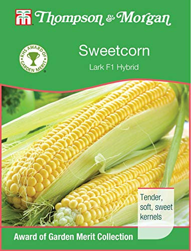 Thompson & Morgan - RHS Vegetables - Sweetcorn Lark F1 Hybrid - 25 Seed