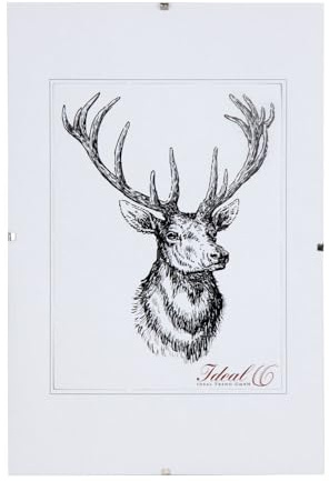 IDEAL TREND RX Rahmenlos Bilderrahmen Bildhalter Cliprahmen Fotorahmen Kunststoff Glas: Größe: 40x50