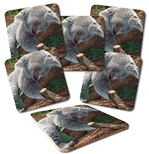 ADDIES Glas-Untersetzer 6-TLG.Set Bedruckt Motiv KOALA-05 in hochwertiger Klarsicht-Geschenkbox und Korkrückseite