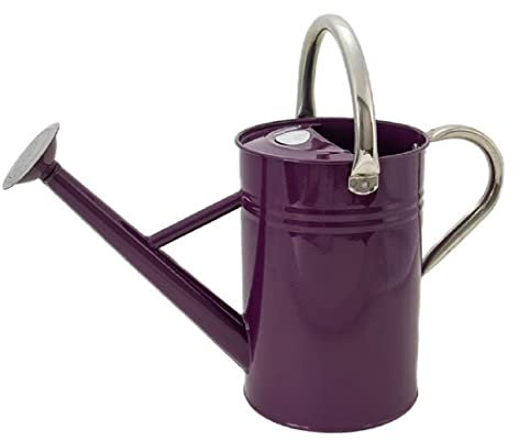 Kent & Stowe 4.5L Metal Watering Can in Deep Violet, Rust-Resistant Galvanised Watering Can with Handle and Detachable Rose, Classic All Year Round Garden Tools Made from Steel