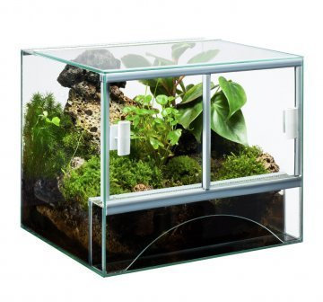 Glas Terrarium mit Belüftung 30x25x25 cm 30 25