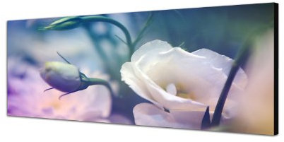 Augenblicke Wandbilder Keilrahmenbild Wandbild 150x50cm Blume Blüte Knospe Farbfilter