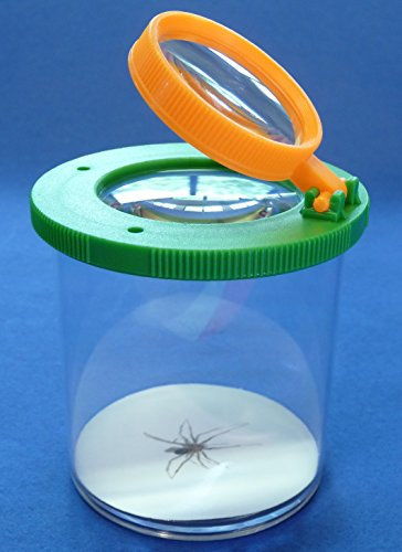 WIM-SHOP BECHERLUPE Lupendose ø6cm Maxi