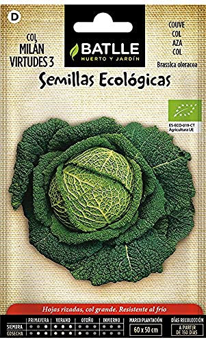 Battle - Semi Ecologici Verza di Milano 3 (225 Semi - Bio)