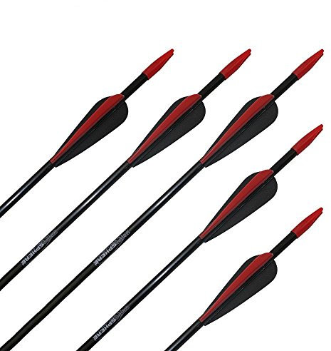 10x TropoSPHERE Fiberglaspfeil mit Blechspitze - 30 Zoll, für Bogenschießen, Pfeil und Bogen, Bogensport