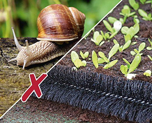 10 mètres escargot Clôture Ø 10 cm, en garantit production allemande
