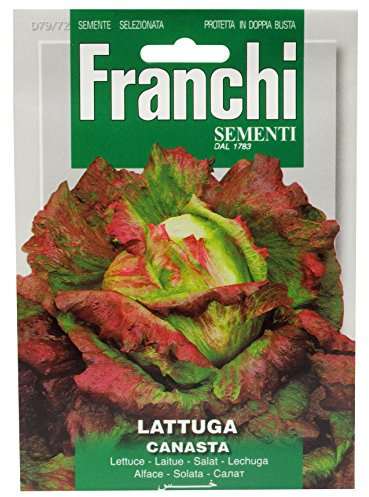 Seeds of Italy Ltd Franchi Lettuce Maravilla De Verano Canasta