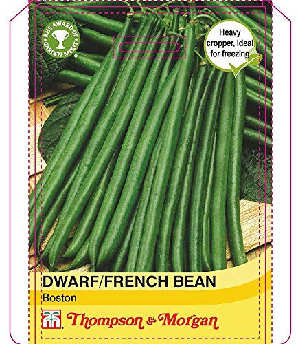 Thompson & Morgan - Vegetables - Dwarf Bean Boston - 100 Seed