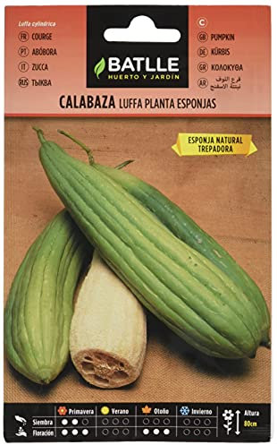 Semillas Batlle - Semi Fiori, Semi per Zucca