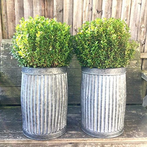 Home Decor Vintage Style Grey Zinc Galvanised Metal Garden Planter Tub Flower Pot Barrel x1