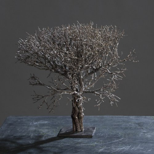 DPI Joshua-Baum Josuabaum Palmlilie Yucca, 35 cm, braun, natural