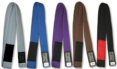 Ring to Cage Brazilian Jiu Jitsu Belt - Purple - Size A3
