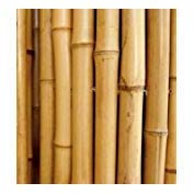 CANNE IN BAMBOO PER SOSTEGNO ORTAGGI E ALTRI USI DA CM 150 (10)
