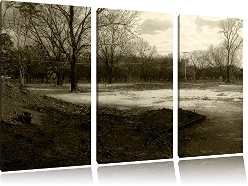 sombre forêt Toile, 3 pièces 120x80 sur toile, XXL Photos complètement encadrée avec de grands cadres de coin, d'impression d'art sur l'image de mur avec cadre, mieux comme une peinture ou une peinture à l'hui