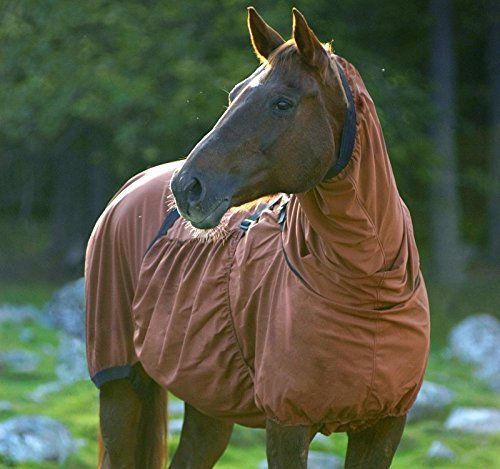 Boett Ekzemerdecke Sweet Itch - Chestnut (Größe 85-115)