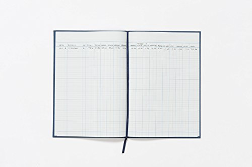 Guildhall Spaltenbuch Serie 31 16 Finanzspalten 80 Blatt 298 x 203 mm