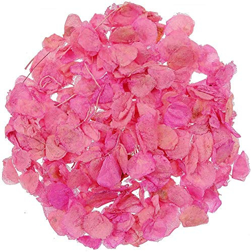Naturosphère - Décoration Naturelle C41 - Pétales de Roses séchées Couleur Rose - 25 grammes