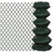 vidaXL Grillage 0,8x25 m Clôture Bordure Portail Barrière de Jardin Balcon