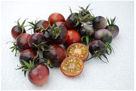 PREMIER SEEDS DIRECT - Tomato Seeds - Indigo Blue Berries (100 Seeds)