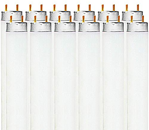 LUXRITE F32T8/865 32W 48 Inch T8 Fluorescent Tube Light Bulb, 6500K Daylight, 2800 Lumens, G13 Medium Bi-Pin Base, LR20735, 12-Pack