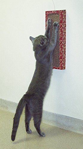Cat Dancer Products CATD0705D Katzenspielzeug Wall Scratcher