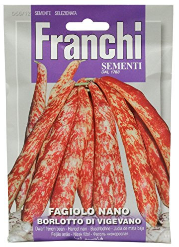 FAGIOLO NANO BORLOTTO DI VIGEVANO