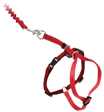 PetSafe Come With Me Kitty - Arnés y correa elástica, arnés para gatos, grande, rojo/arándano