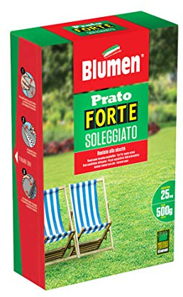 PRATO FORTE SOLEGGIATO 500GR