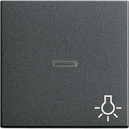 Gira 067428 Wippe Kontroll Symbol Licht System 55, anthrazit
